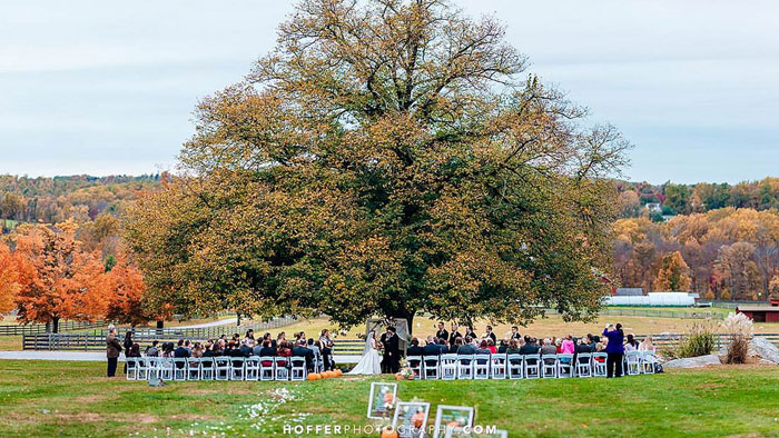 Fall Weddings at Springton Manor Farm in Philadelphia