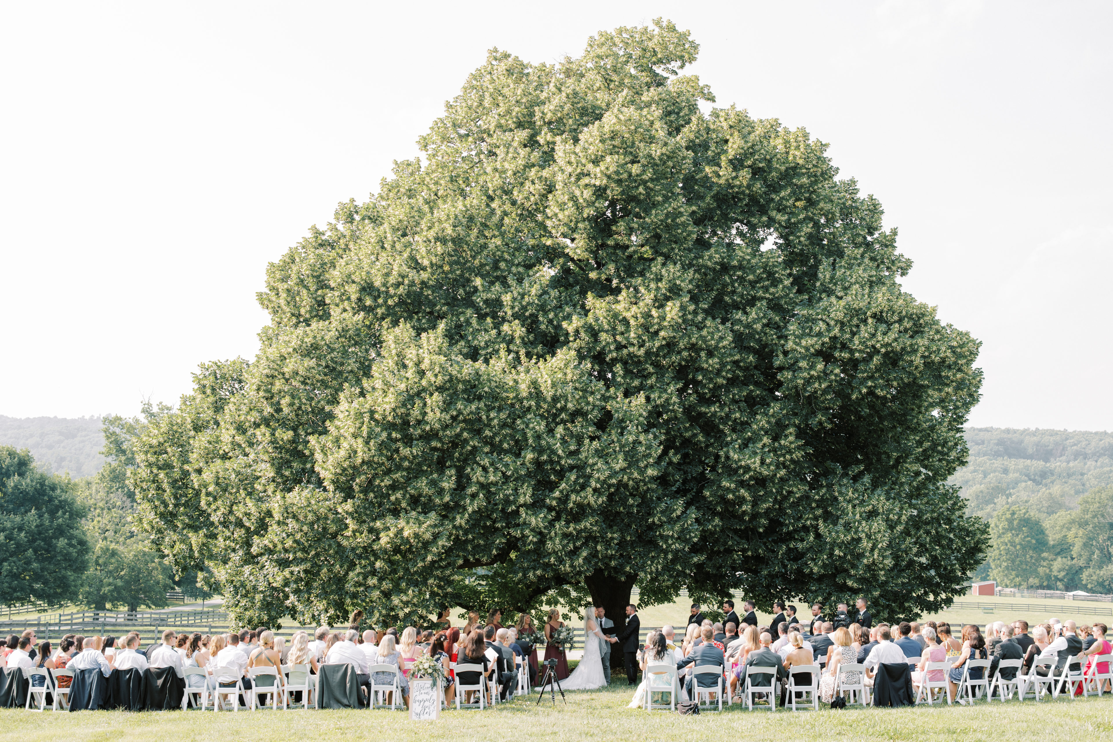 Ceremony at the Linden Tree
