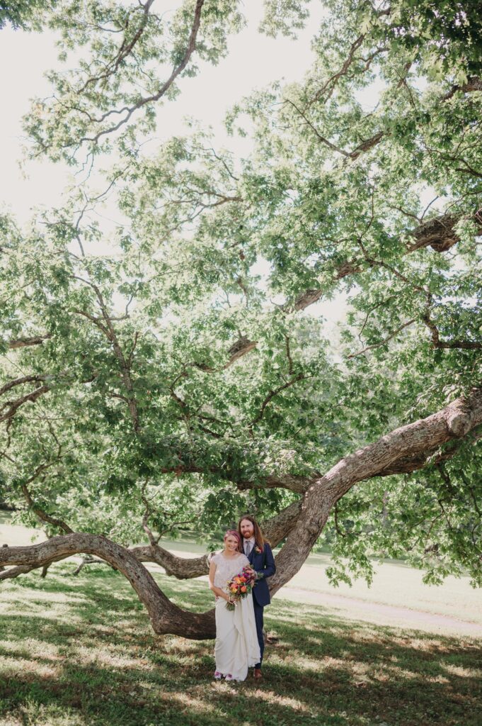 Newlyweds standing in front of an old tree with low branches.