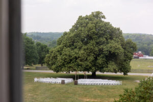 Linden tree set up for a wedding ceremony at Springton Manor Farm
