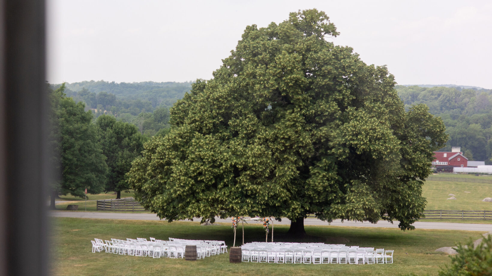 The Linden Tree - Springton Manor Farm