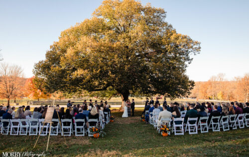 Linden tree wedding ceremony in the fall at Springton Manor Farm