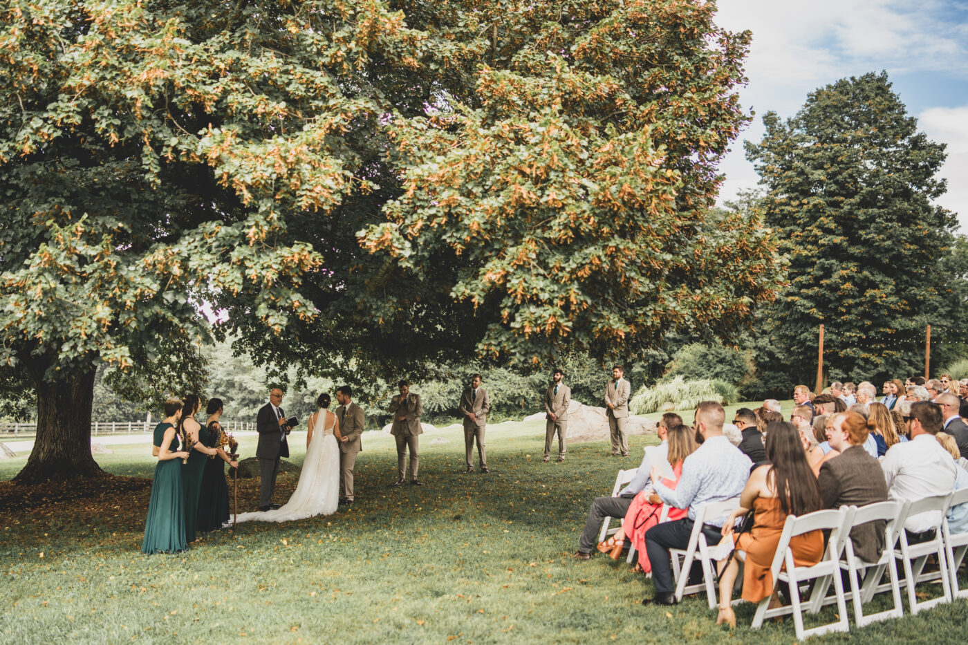 The Linden Tree - Springton Manor Farm