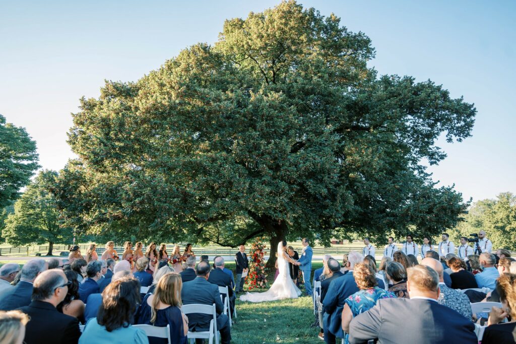 Newlyweds sharing their vows under a large oak tree infront of their guests.