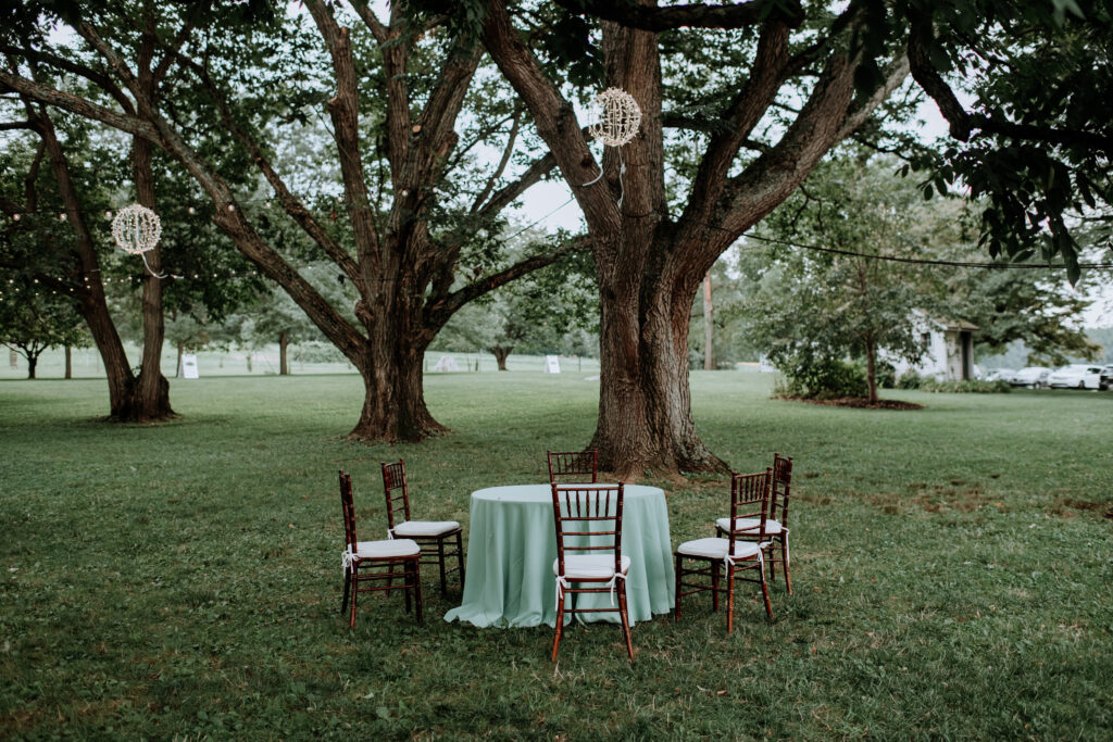 Antique table in grove of trees