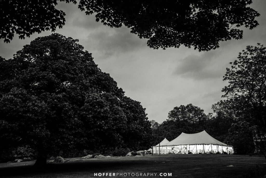 Springton manor tree and tent.