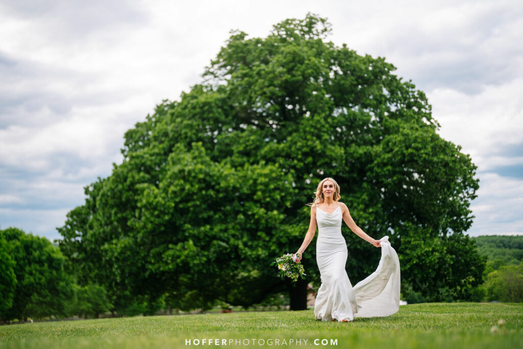 Bride walking in the field in front of the Springton Manor Farm tree.